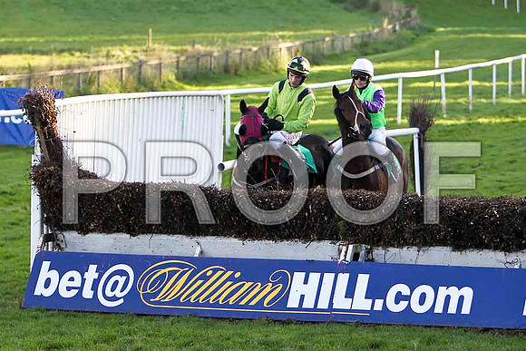 No More Prisoners , Jockey Mr B T O'Connell - 8th &  - Strolling Home , Jockey P Townend - 2nd - CU2D9425-e