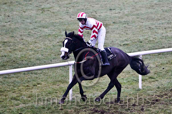 Spiker the Biker 5th, Jockey Mr N T Slevin - CU2D2186-e