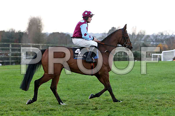I hear a Symphony - Winner - Jockey  - R C  Colgsan - CU2D0791-e