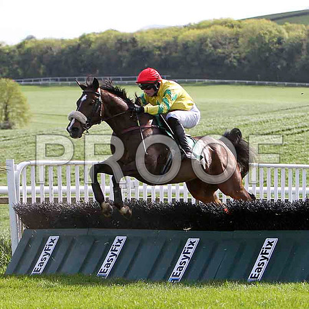 Diamond Fire - 13th, Jockey - S G McDermott - FT8E2869-e