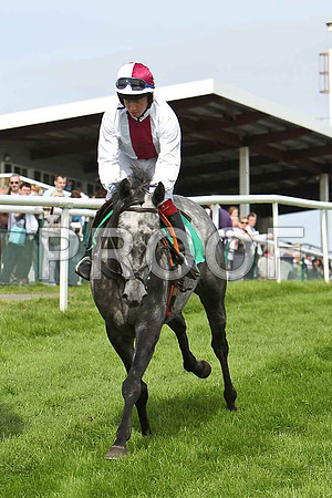 MInella Bliss Fell, Jockey P F Mangan - CU2D1737-e