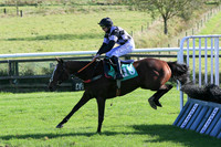 01st Laughing Trix and C D Maxwell ( 10 , blue and black diamonds ) Trainer - D A McLoughlin , Owner - Michael Joseph Doyle