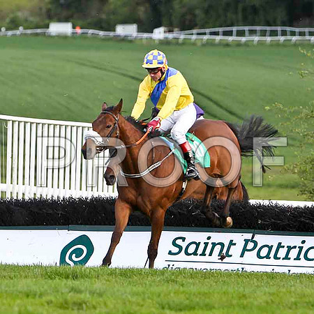 Ella Mia , 10th, Jockey J L Cullen - FT8E3039-e
