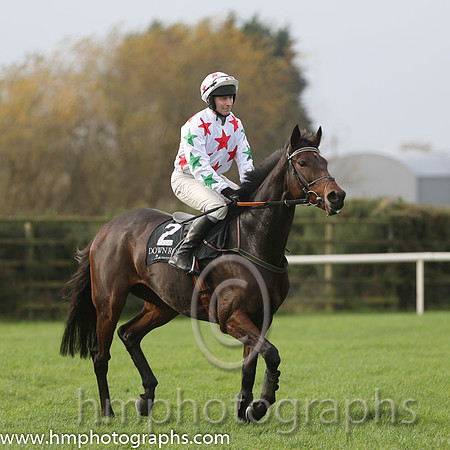 02 Carrigmoorna Rock and DJ Casey - - 02th (2 ,white, red stars ) Trainer - R Tyner