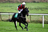 Father Shine , 7th - Jockey R Loughran - FT8E5254-e
