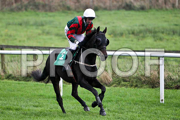 Father Shine , 7th - Jockey R Loughran - FT8E5254-e