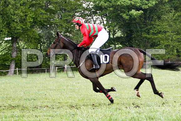 Educated Guess , 7th, Jockey Ms C V Annan  - FT8E2581-e