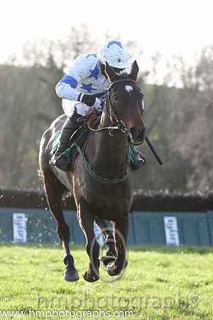 03 Definite Elegance & D G Hogan - 3rd (3, white, royal blue stars) - FT8E1228-54