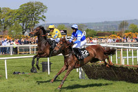 10th Piranto and Reserve 2 ( 22 , royal blue, white hoop ) Trainer - M G Quinn , Owner - McNally Racing Syndicate