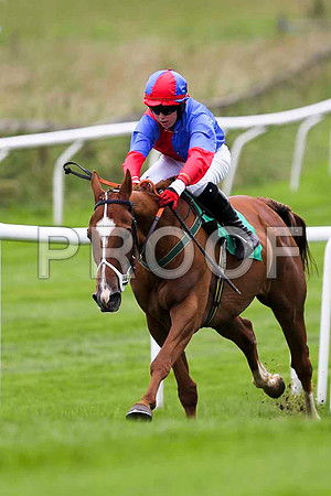McSwynes Bay winner, Jockey K M Donoghue - FT8E1759-e2