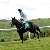 Seaneen Mac Ri , 6th, Jockey - Mr D A Fitzsimmons - CU2D9229-e