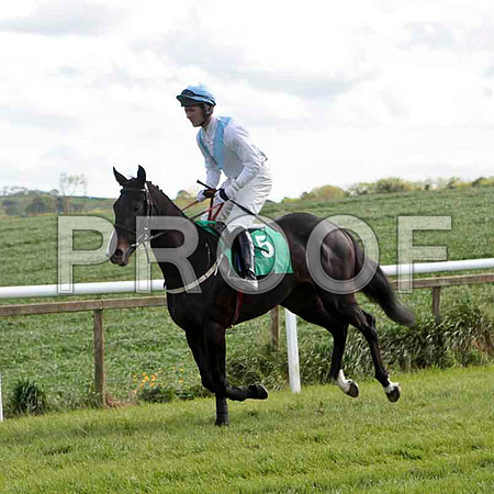 Seaneen Mac Ri , 6th, Jockey - Mr D A Fitzsimmons - CU2D9229-e