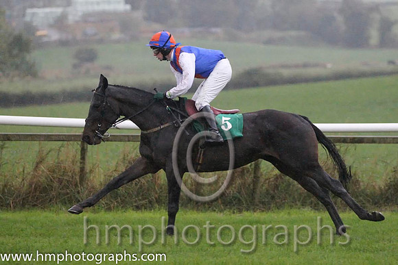 06 Drummullagh Rocky & Mr K O'hare - 6th (5, royal blue, orange chevron ) - FT8E9264-Edit-60