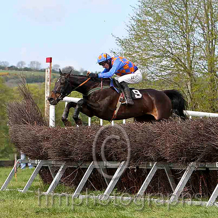 Rock On Tom , 2nd , Jockey - Derek O'Connor - FT8E2093-e