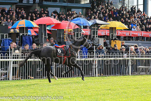 F Woodford Island and K M Donoghue ( 6 , green, red spots ) Trainer - G Elliott , Owner - T J Doran