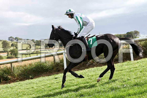 Blue Monster - 13th , Jockey P D Kennedy  - IMG_9413-e