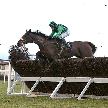 Long Strand  4th, Jockey D J Casey - FT8E9967-e