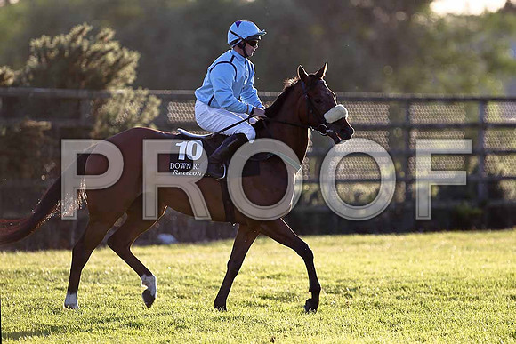 Float my Boat 5th, Jockey Mr S Crawford - FT8E1175-e