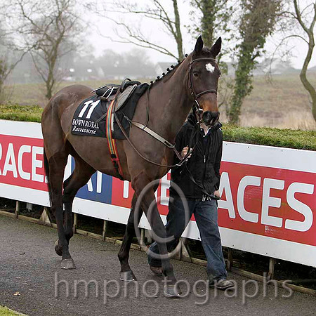 Maple Valley Gale, Jockey Mr B T O'Connell - 7th - CU2D1935-e