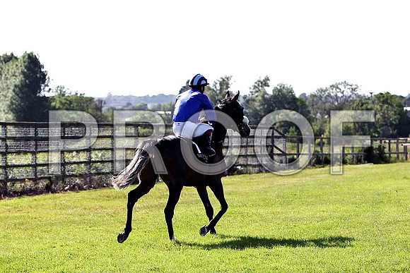 Seraakh  - Winner, Jockey P J Smullen - CU2D0385-e