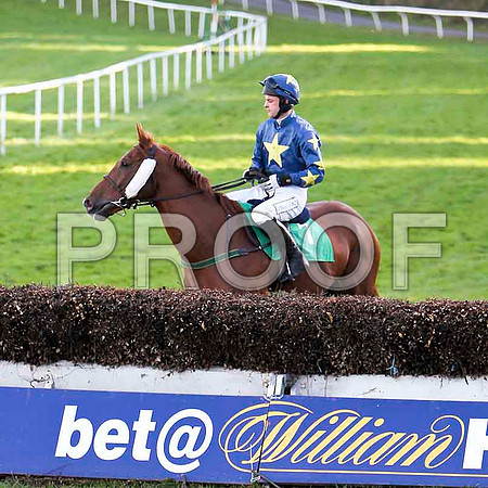 Moscow Towers , Jockey M Darcy - 7th - CU2D9389-e