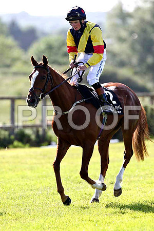 Zinawar 2nd , Jockey C D Hayes - FT8E1444-e