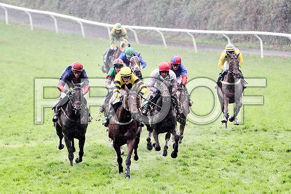 Fairwood Massinni , 2nd - Jockey D J Bates - leads the group - FT8E5361-e2