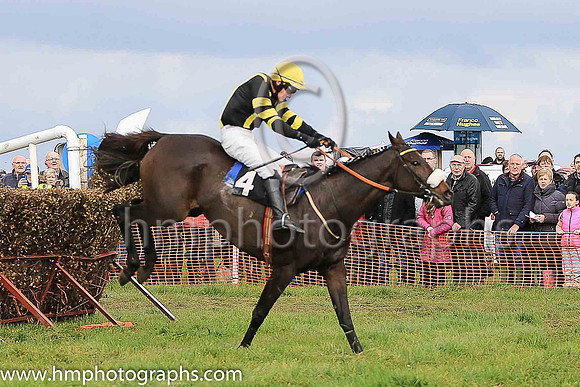 02nd SUN SPIDER and R O Harding ( 4 , BLACK,yellow braces; black  yellow hooped sleeves; yellow cap ) Trainer: John Joseph Hanlon,, Owner : Rachel O'Neill