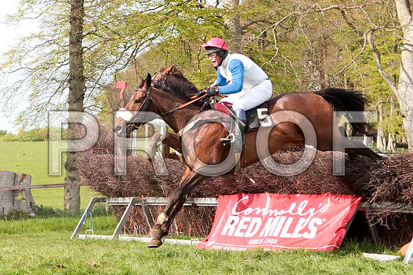 Clyde House , 8th, Jockey - P E Turley - CU2D4686-e