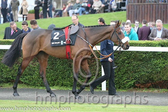 07 Tiger Roll and B J Cooper - PU - 07th (2 ,maroon white star ) Trainer - G Elliott