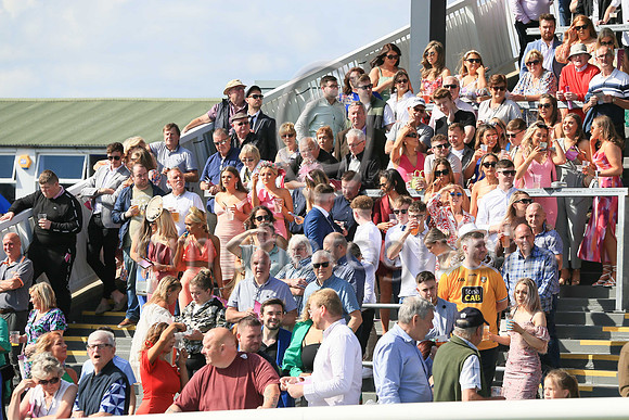 Spectators enjoying the sunshine at Ladies Day at Downpatrick Racecourse on Monday