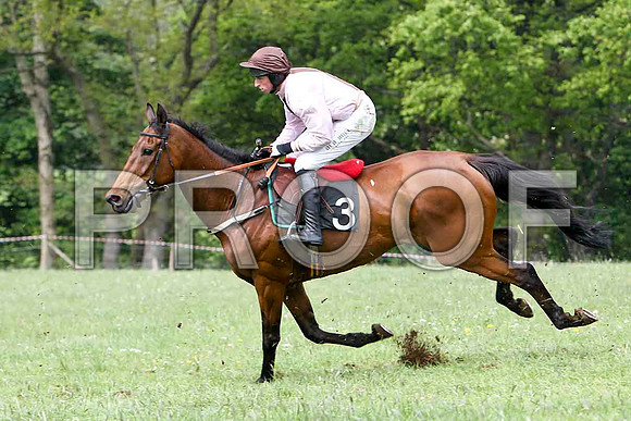 Aces or Better, 2nd, Jockey J J Codd - FT8E2481-e