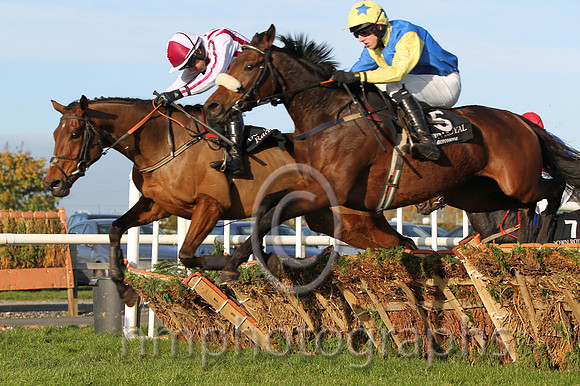 06 Honey Bach & R Walsh - 6th (3, white and maroon stripes ) & 04 Little King Robin & M P Walsh - 4th (5, royal blue and yellow halved ) - FT8E9982