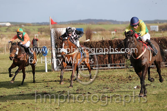 01 Mr Bolt  D H Lavery - Trainer : Sean McParlan, Black and tan check