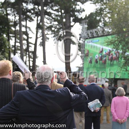 Spectators at Irish Champions Day watch the Ladbrookes St Ledger on the big screen.