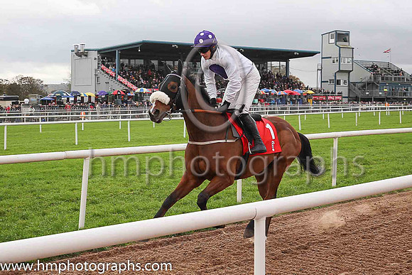 04th My Manekineko and P Townend ( 1 , white, purple disc ) Trainer - J Nash , Owner - Ka Hon Tham