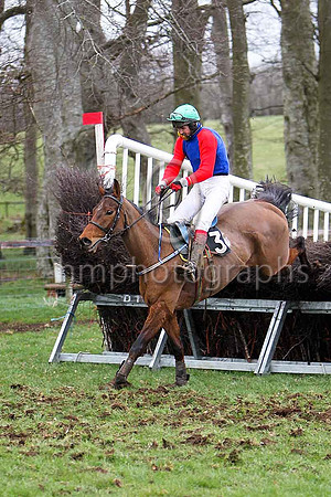Sixth Race - Glenariffe winner- CU2D7191-e