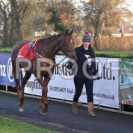 Ask The Farmer - 12th , Jockey Mr C S McGuinnness - FT8E7268-e