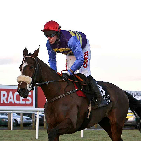 Tico 13th, Jockey Mr B O'Neill - FT8E0037-e