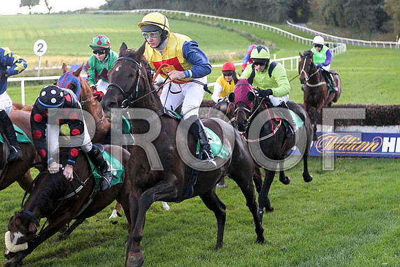 Kerzak unseating Jockey M W Bowes - FT8E4475-e