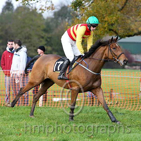 Handsome Harry , Jockey M J O'Hare - PU - CU2D9983-e