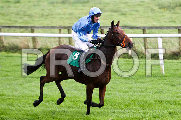 Rather Curious , 10th - Jockey Mr M J Scallan - FT8E5186-e