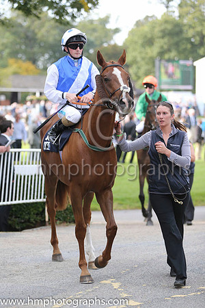 05 Winter Lion and C D Hayes - - 05th (15 ,royal blue, white sash ) Trainer - Denis Hogan