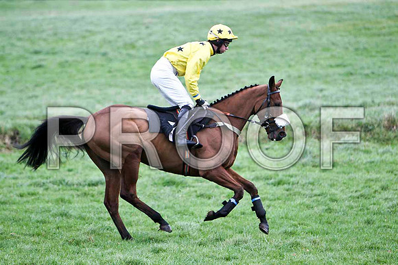 Hello Sir , PU - Jockey S F Magee - FT8E5625-e