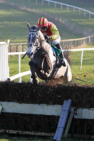 Hughies Grey Winner, Jockey M Darcy -FT8E0512-e