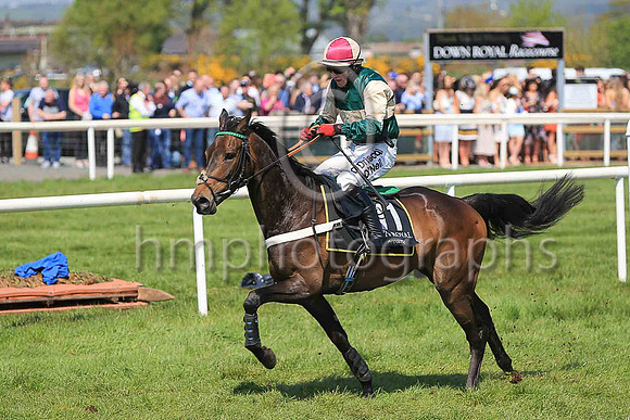 08th Hatters Hero and M A Enright ( 11 , dark green and beige hoop ) Trainer - E P Harty , Owner - Hatters Partnership