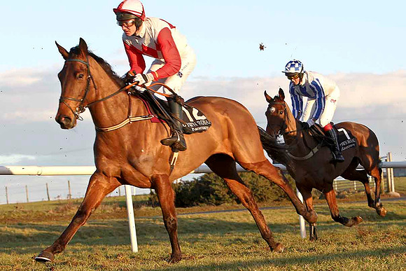 Flycorn 6th , Jockey Mr J T Carroll & Seriatim 10th, Jockey Mr C Cully - FT8E0003-e