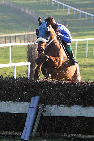 The Flying Dustman 9th, Jockey A P Heskin - FT8E0527-e