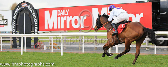04th My Manekineko and P Townend ( 1 , white, purple disc ) Trainer - J Nash , Owner - Ka Hon Tham