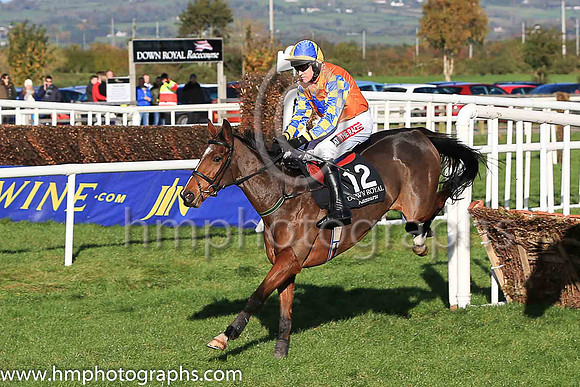 04th Elusive Theatre and B J Geraghty ( 12 , orange, royal blue star ) Trainer - S R B Crawford , Owner - David Gordon Roberts